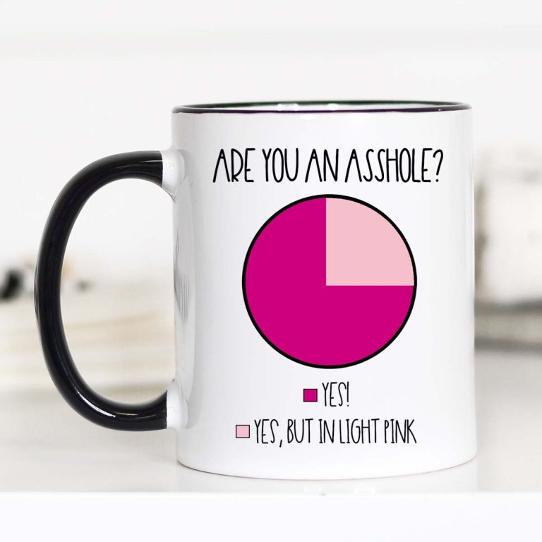 Are you an As*hole Mug, Funny Pie Chart, – Funny Coffee Mug